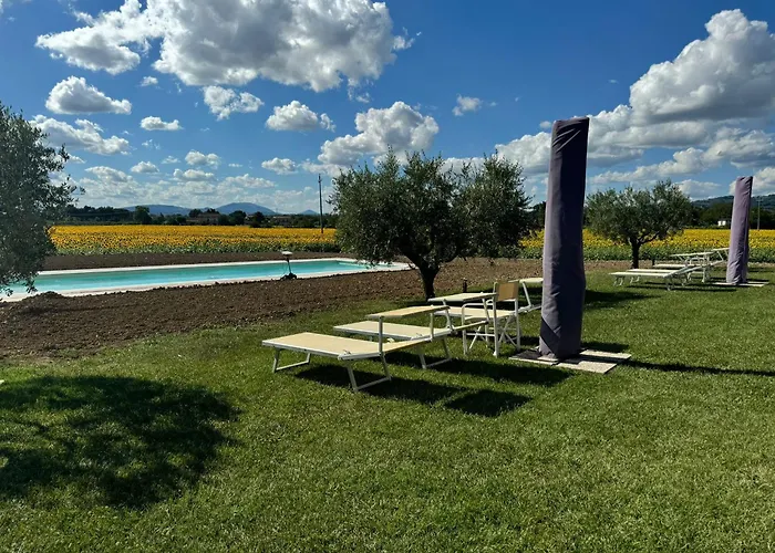 Assisium Agriturismo