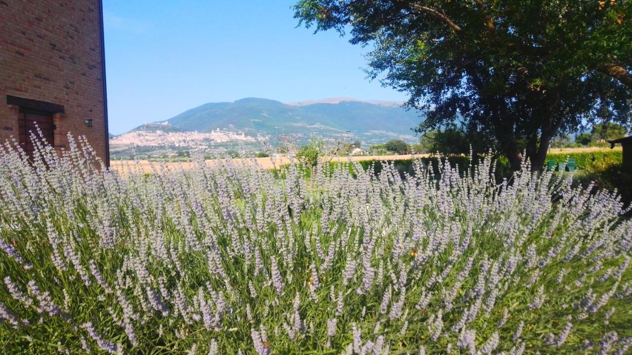Vakantieboerderij Assisium Assisi
